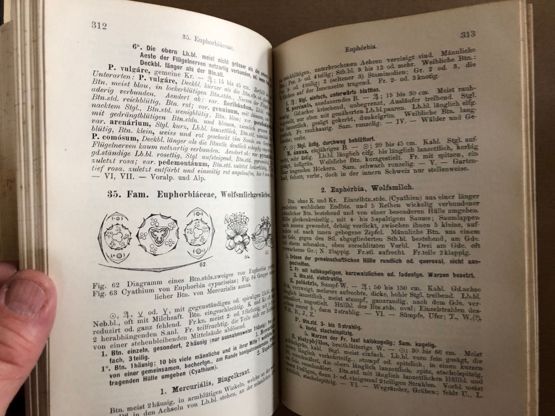 Bücher: H. Schinz/R. Keller: Flora der Schweiz – Gebraucht aus Zürich von allp 7