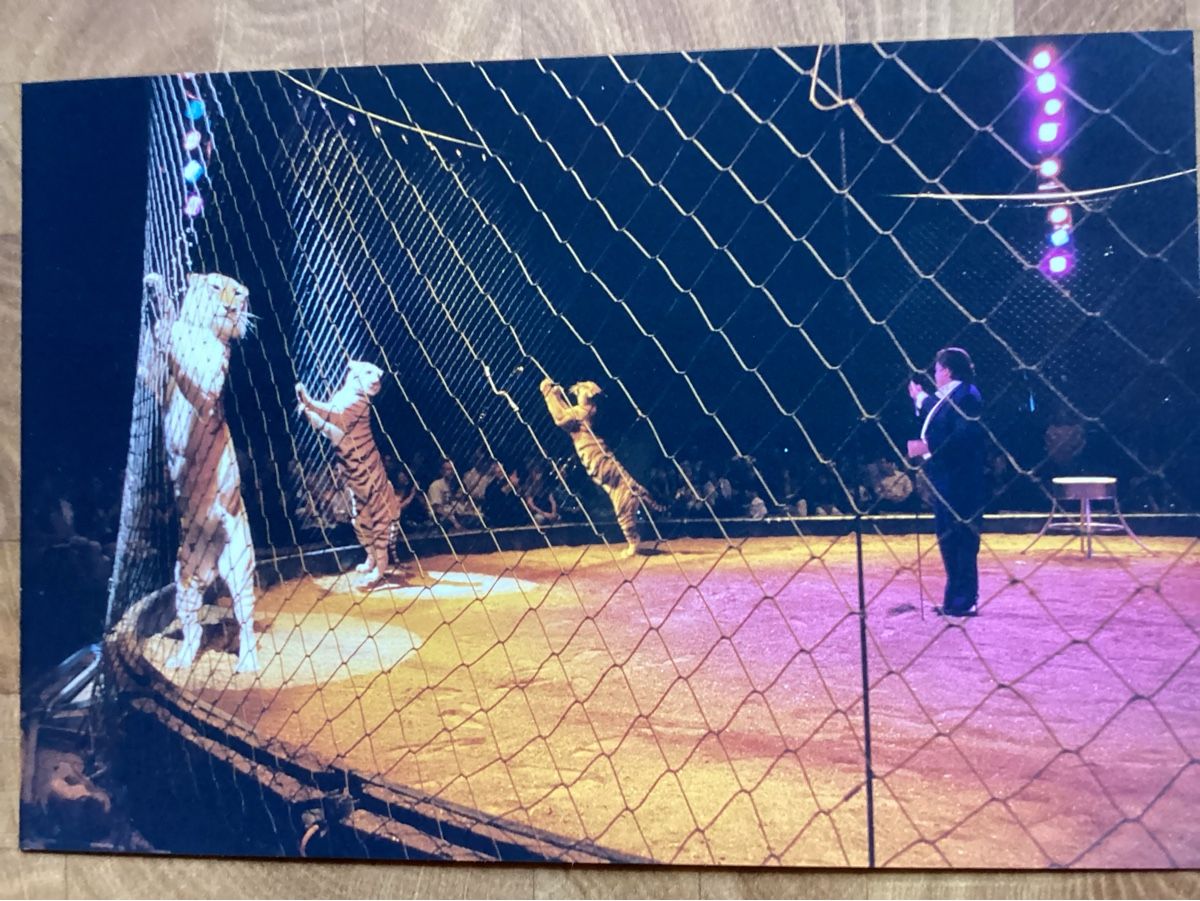 Foto & Immagini: Circus Knie Foto 1999 – Usato da Reichenbach i. K. venduto da astra2010