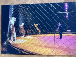 Circus Knie Foto 1999