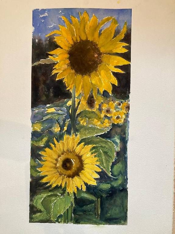 Dipinti: Aquarell Grösse 30 x 63 cm – Usato da Schwarzenbach SG venduto da ernesto3.6