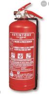 Pulver-Feuerlöscher Pii ABC 2 kg | frostsicher bis -30 °C