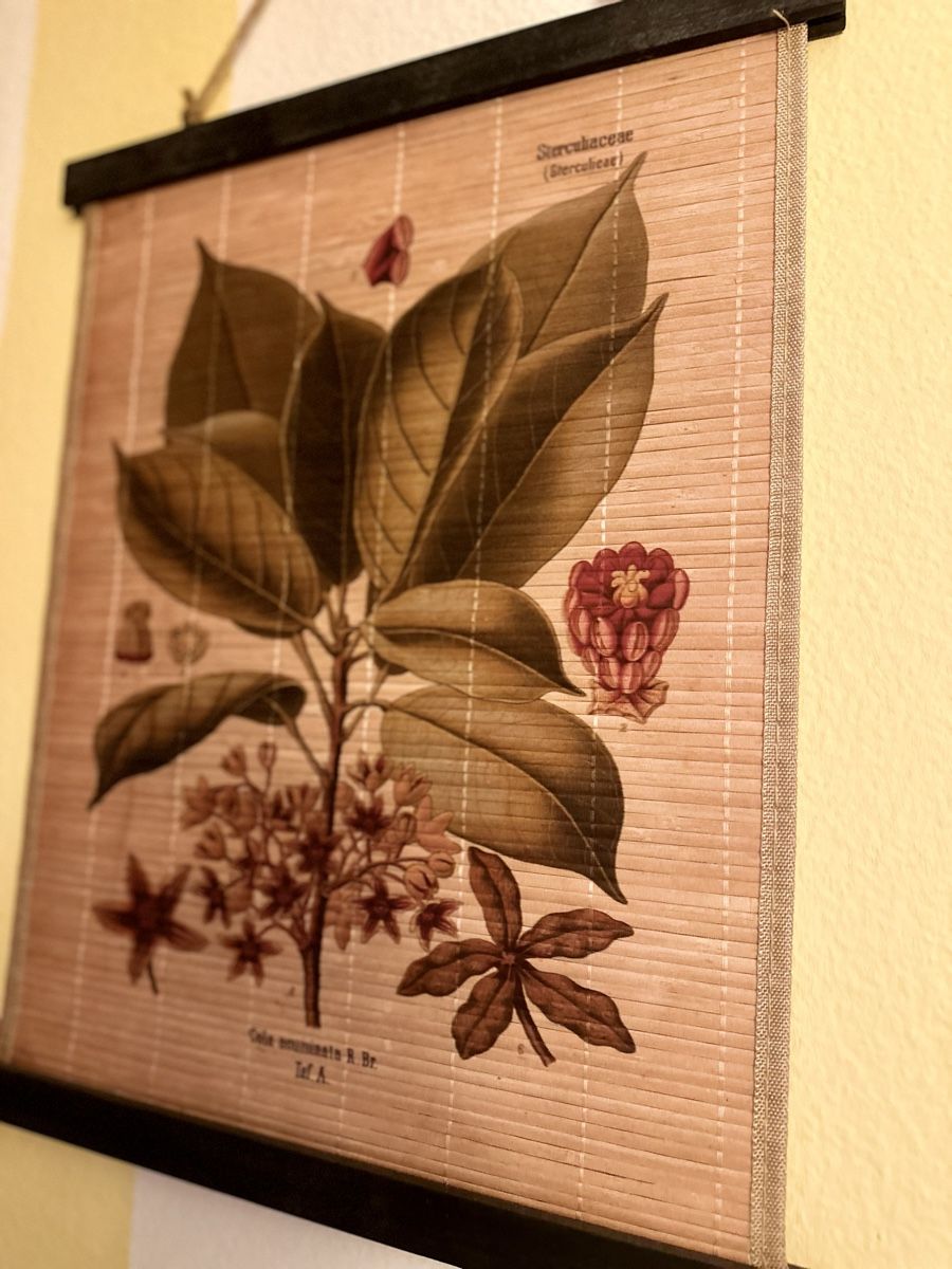 Foto & Immagini: Wandbild Naturmaterial Nr 1 – Nuovo (secondo la descrizione) da Altdorf UR venduto da StayClassy 1