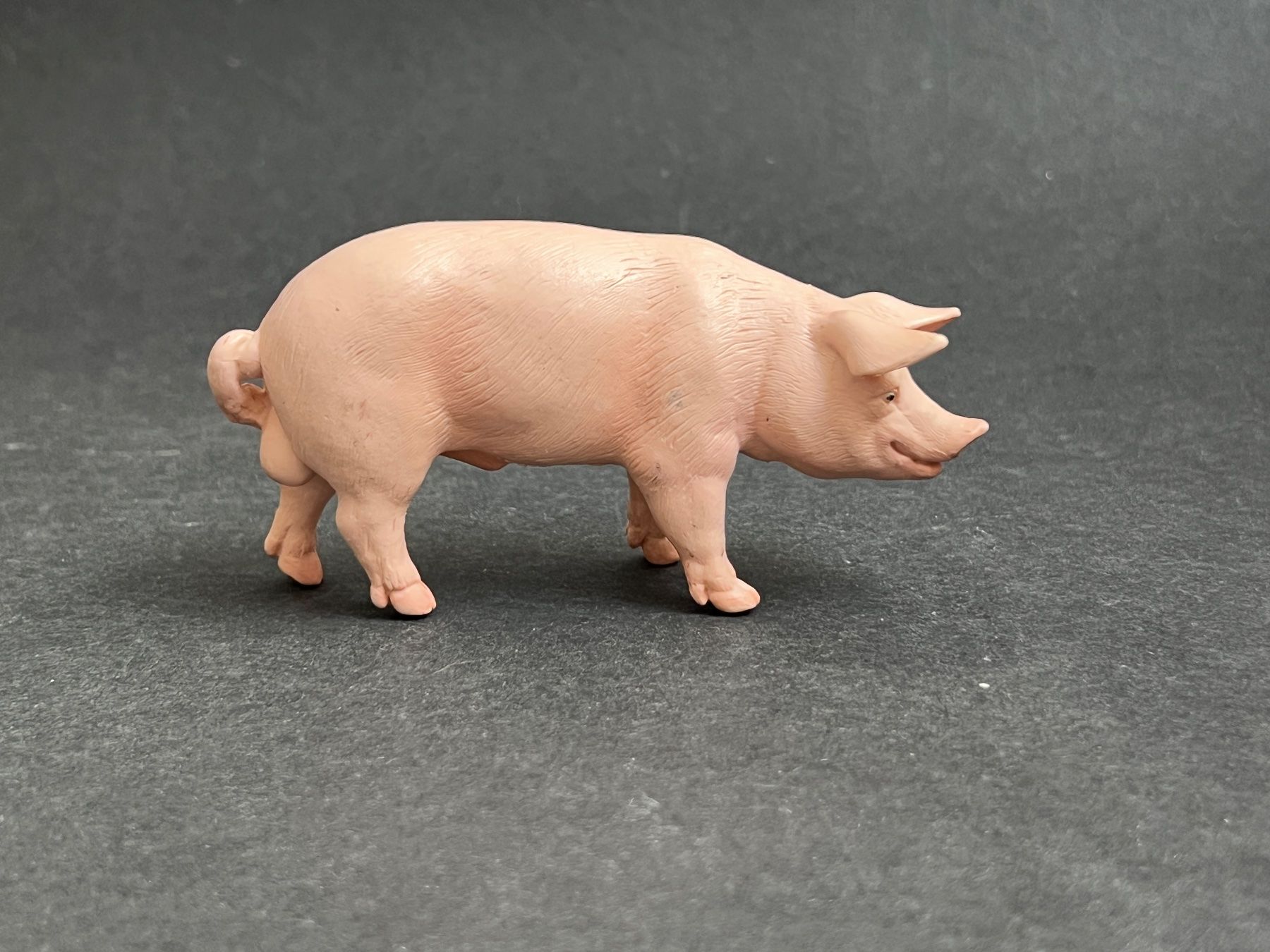 Schleich Statuette: Schleich Eber 13287 Schwein – Usato da Ennetbaden venduto da mapa05