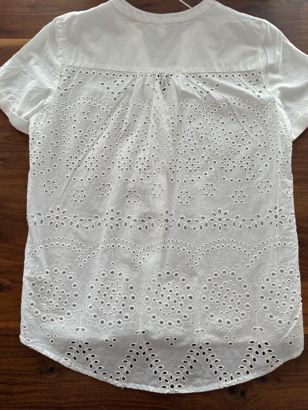 Esprit Camicette: Esprit Bluse neu – Nuovo e nell'imballaggio originale da Unteriberg venduto da fae_2gz2 1