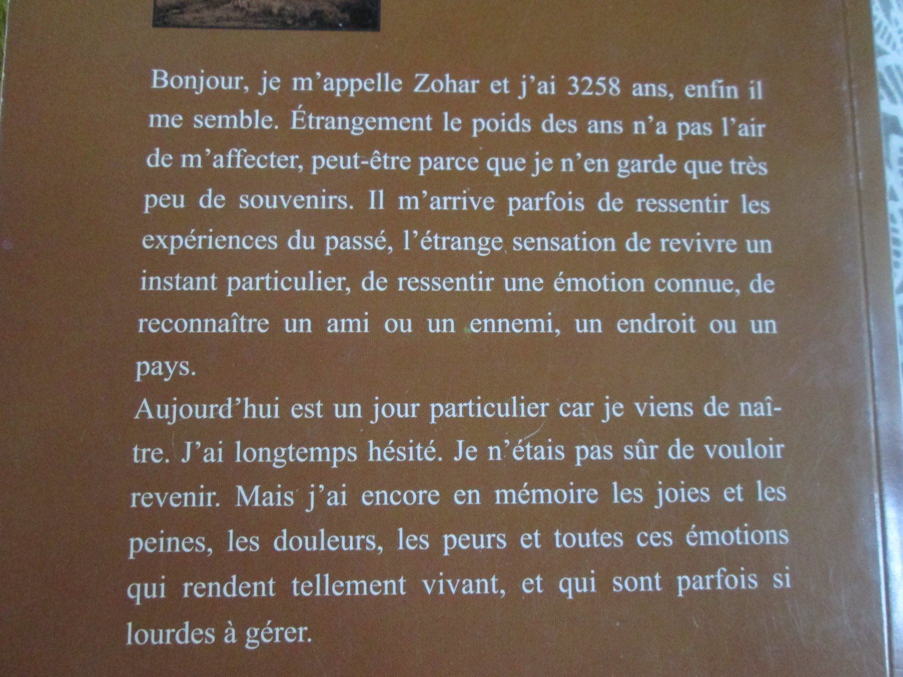 Libri: Le paravent des illusions perdues – Usato da Neuchâtel venduto da Dualseele 2