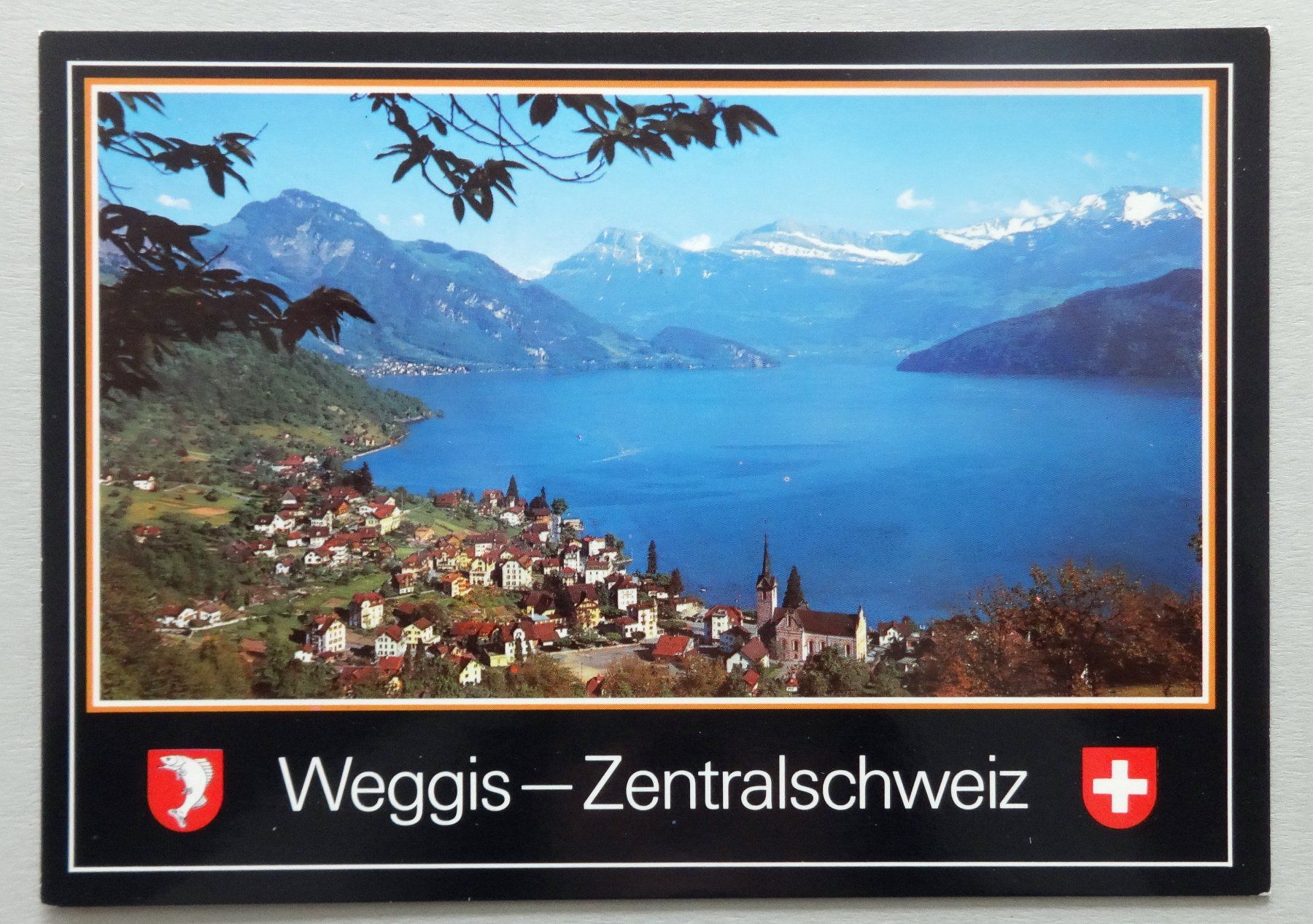 Cartes postales: Ferienort Weggis mit den Alpen – D'occasion à Fétigny par Billy2miny