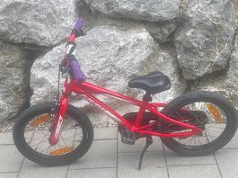 Specialized-Kindervelo 16 Zoll