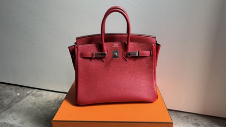 Hermes Birkin 25