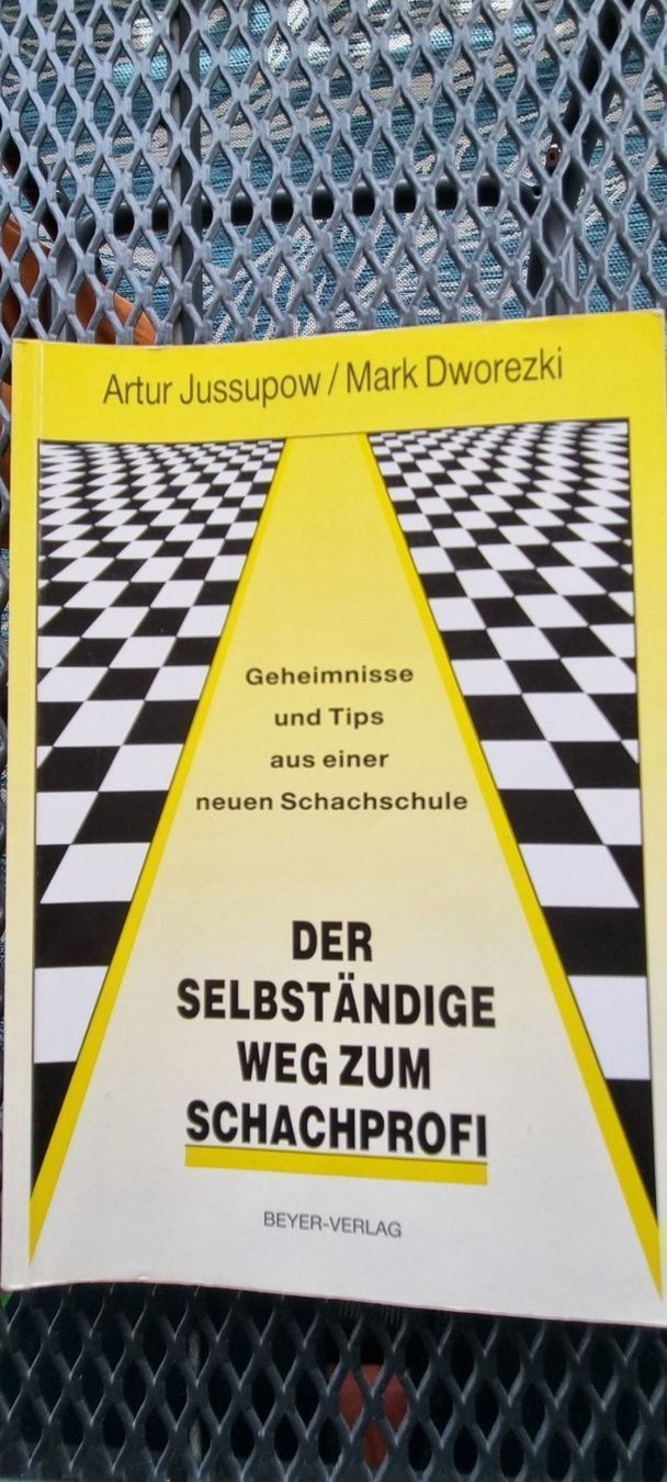 Libri: Schachbuch Der selbständige Weg zum Schachprofi – Usato da Muttenz venduto da Langerochade