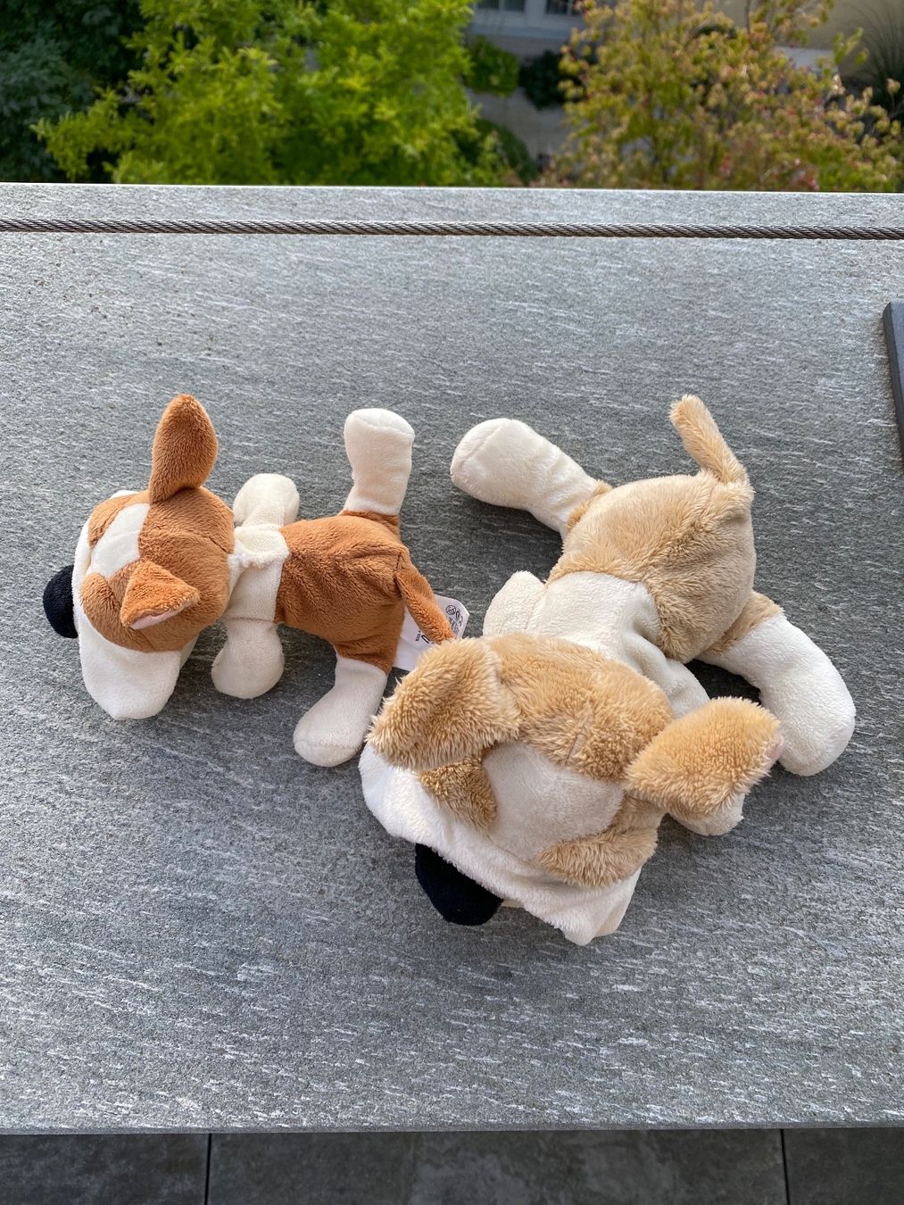 Giocattoli: 2 Plüsch Hunde – Usato da Muttenz venduto da Fantom03 2