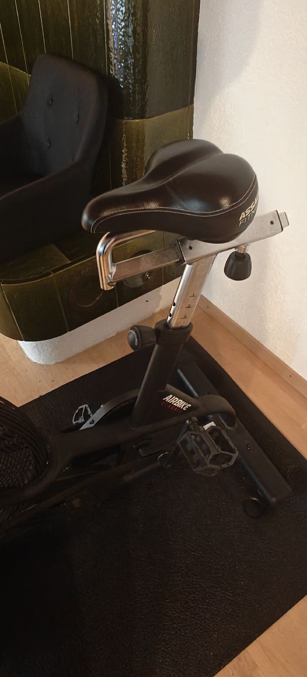 Biciclette: Assault Bike – Usato da Mönchaltorf venduto da aar_l729 5