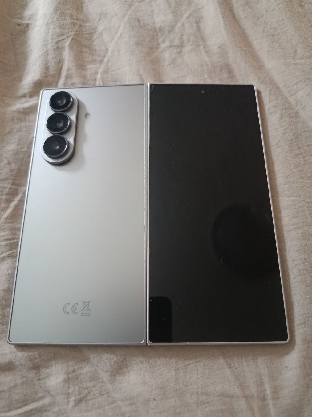 Samsung Telefoni cellulari / Smartphones: Samsung Galaxy Z Fold 7 Silver – Usato da Zürich venduto da kin_5jm2
