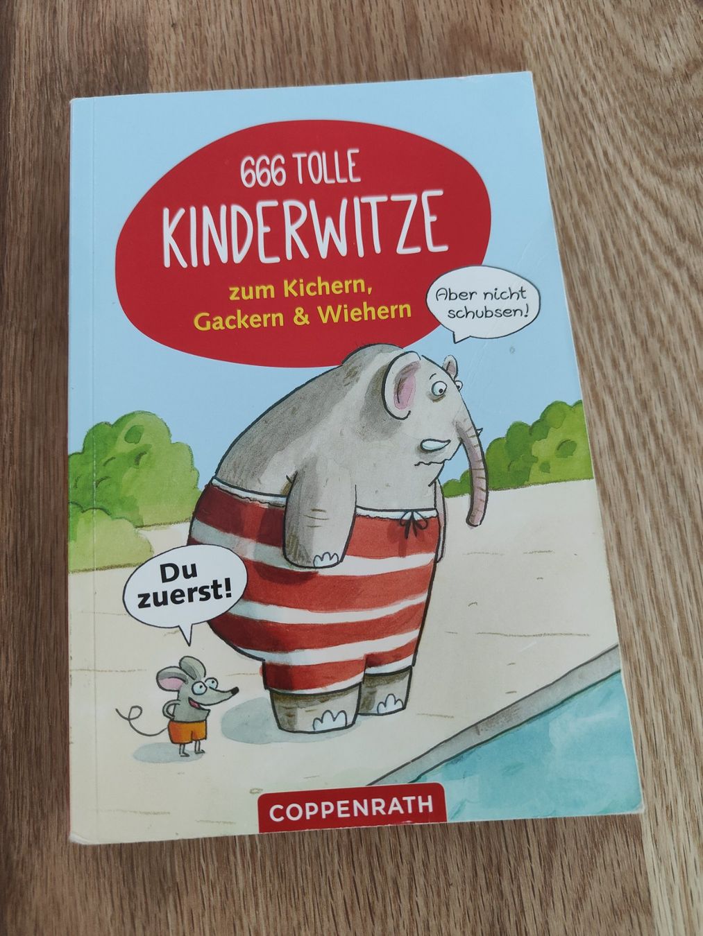 Libri: Buch 666 tolle Kinderwitze – Usato da Möriken AG venduto da Tigerente12