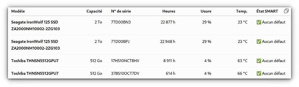 Hewlett Packard Server: HPE MicroServer Gen10+  Xeon E-2186G, 32 Go, NVMe, SSD, iLO5 – Usato da Etoy venduto da Ctrl0 4