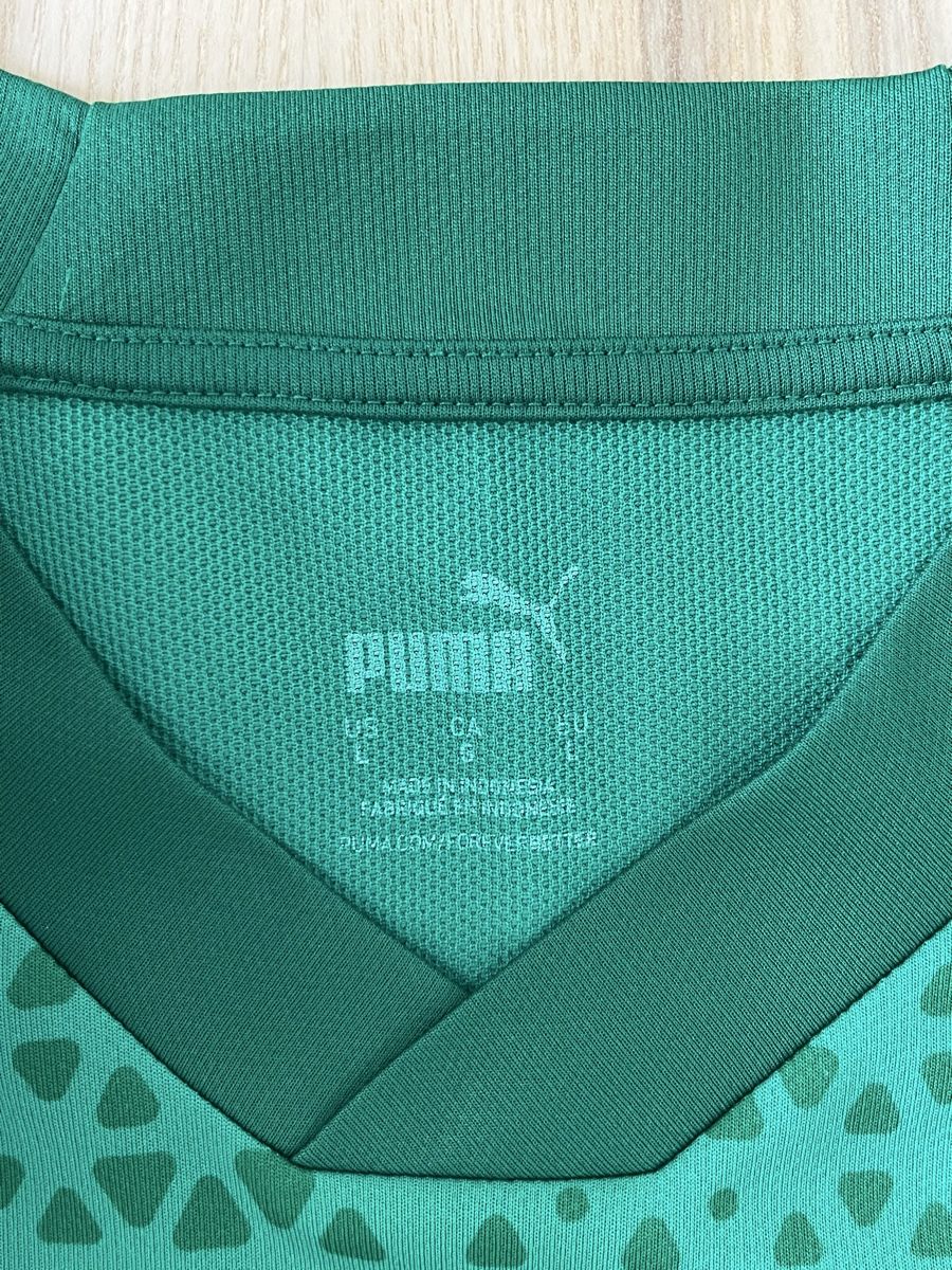 Puma Canottiere & Pantaloni: Puma Trikot Training FCSG – Nuovo (secondo la descrizione) da Kreuzlingen venduto da mariuuss 2