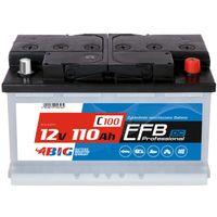 BIG Professional Solar DC EFB 12V 110Ah