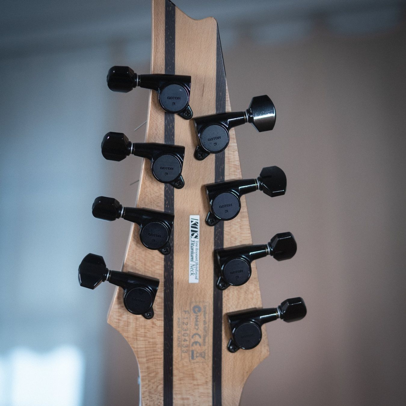 Ibanez Strumenti musicali: Ibanez RG2228-GK Prestige MIJ 8-String + Case – Usato da Chur venduto da ShredCrusade 5