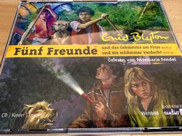 Fünf Freunde das Geheimnis am Fluss ein schlimmer Verdacht
