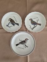 Villeroy&Boch Paradiso Konfektteller und 2 Gratinförmchen