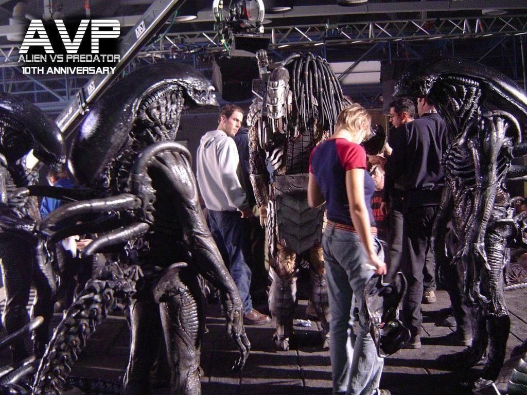 Costumi: Original Alien Kostüm Teil ‚Alien vs Predator" Giger – Usato da Schlieren venduto da Moviepropde 8
