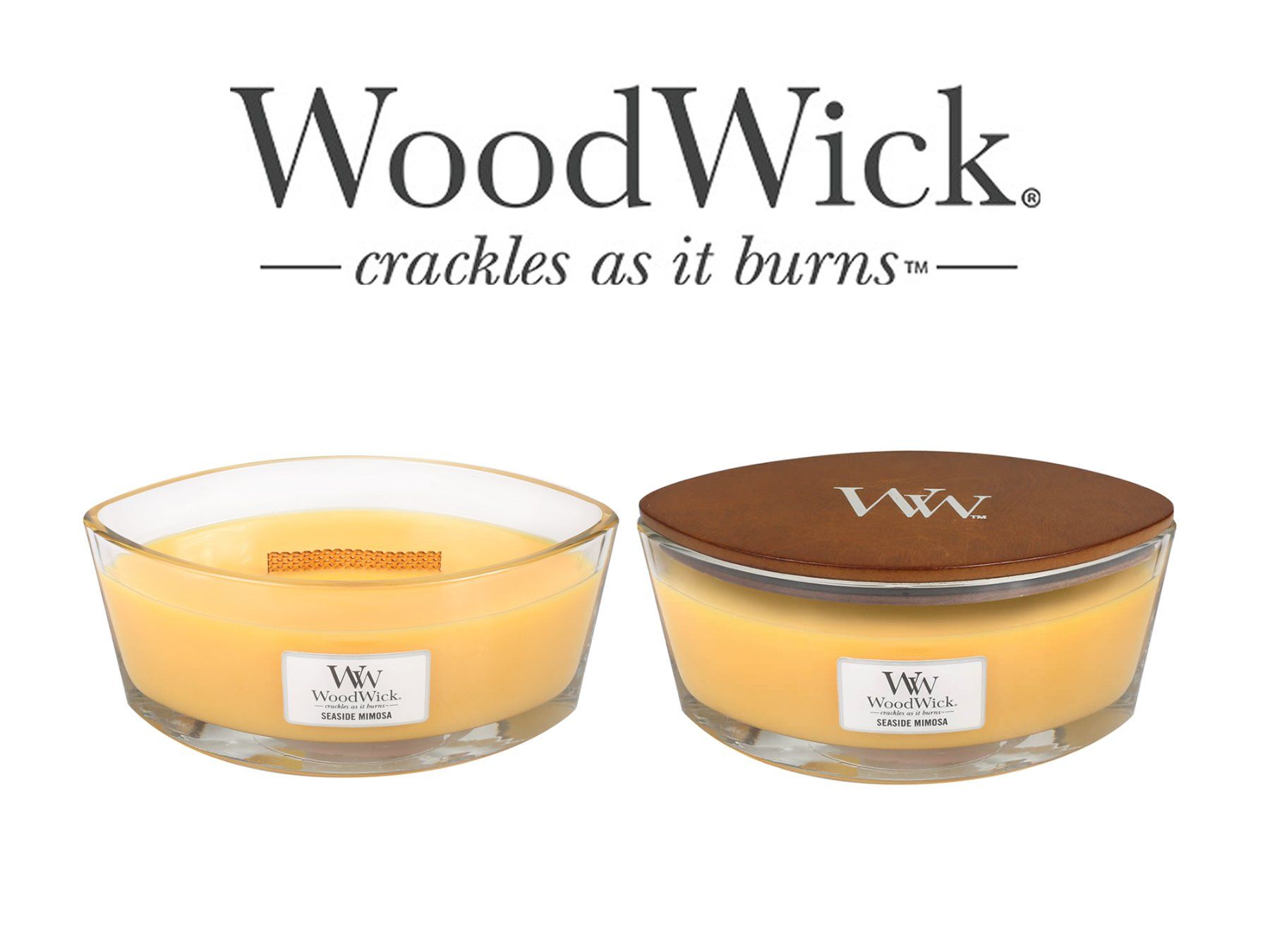 Yankee Candle Candele: WoodWick Seaside Mimosa Ellipse – Nuovo (secondo la descrizione) da Langwiesen venduto da rtWebshop