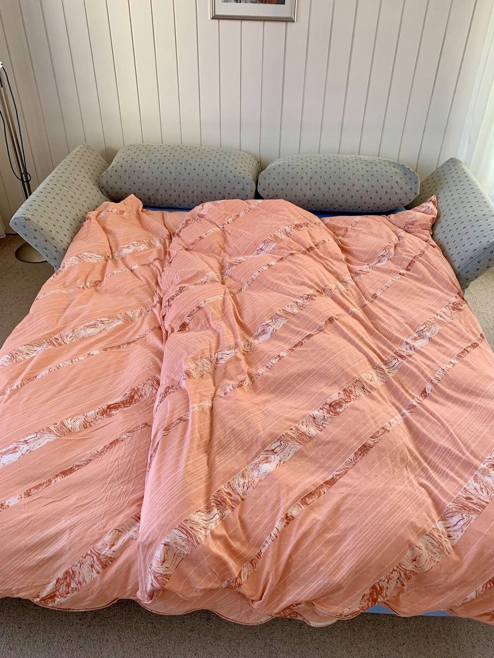 Divani: Bettsofa – Usato da Birr venduto da Lotus23 3