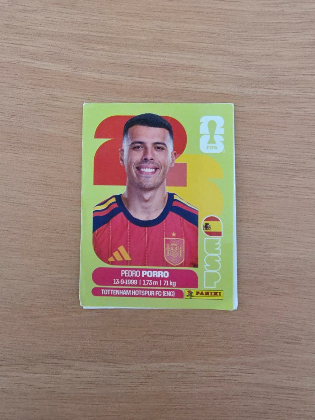 Panini Carte collezionabili: Panini Fifa ESP 6 – Usato da Malters venduto da mat_6102