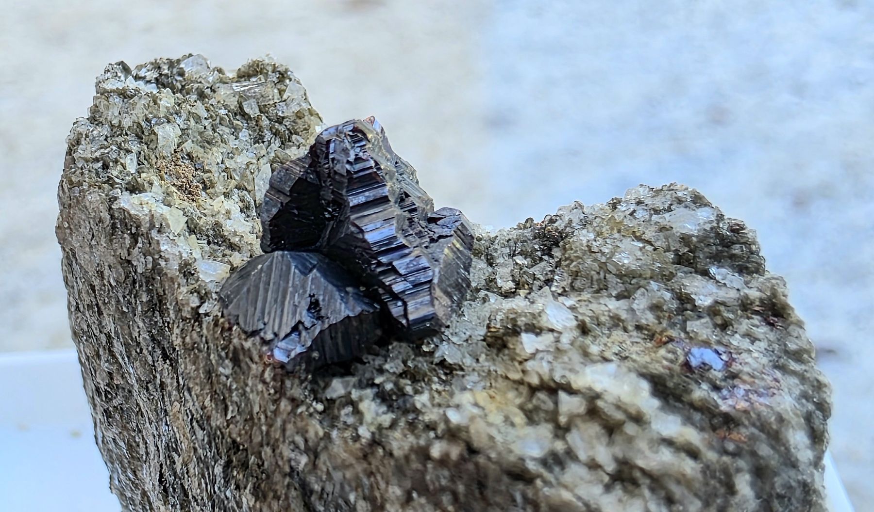 Minerali & Pietre curative: Binnta Mineralien Knopfrutil gross Rarität Hochglanz 1cm – Usato da Glis venduto da nbu_65ys 2