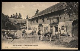 AK Collex-Bossy, Ferme du Château