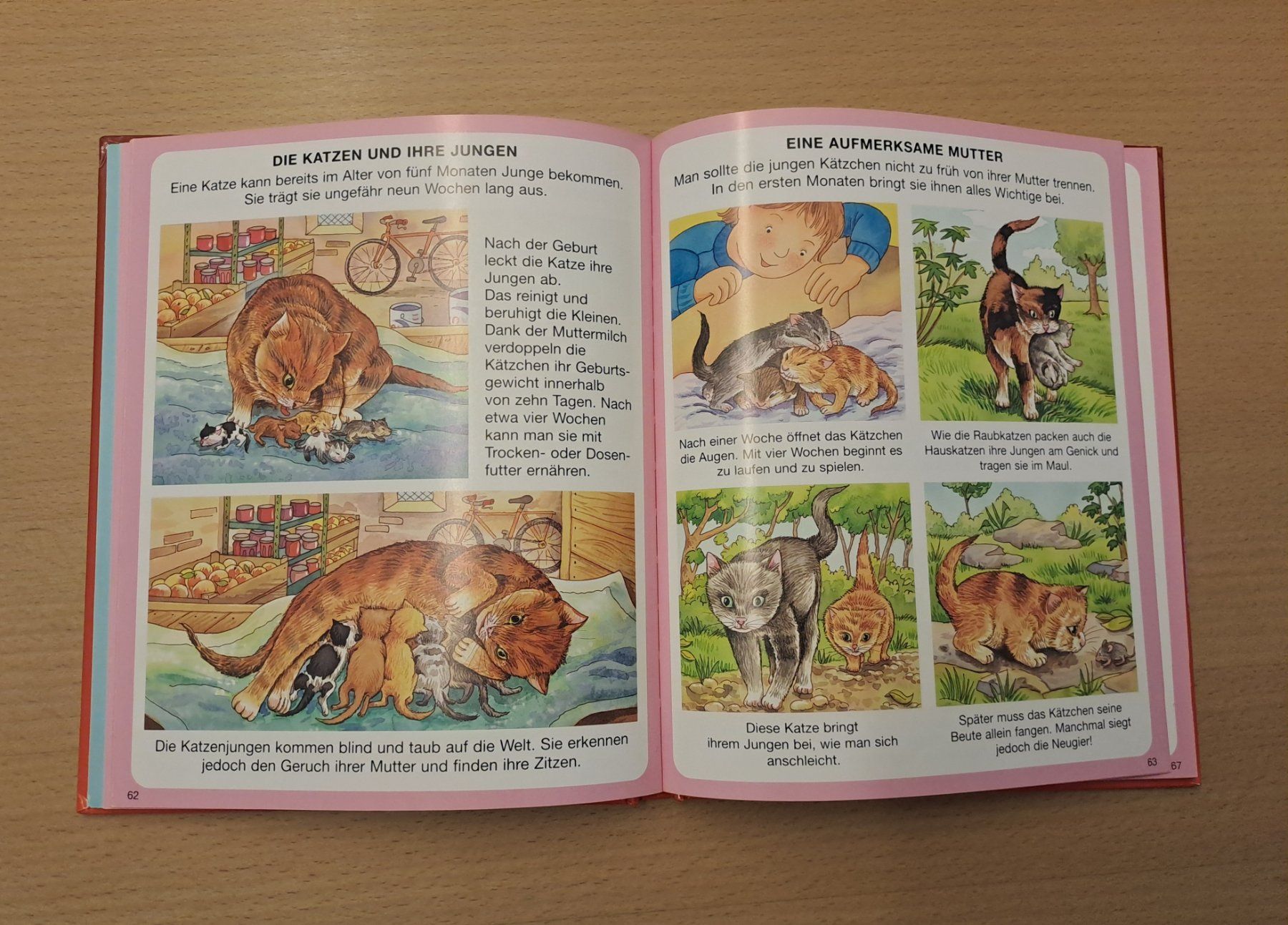 Libri: Haustiere Kinder Buch – Usato da Wädenswil venduto da neonfarbig 5