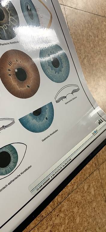Foto & Immagini: Plakat Irisdiagnose – Usato da Bern venduto da RamonaSteiner 1