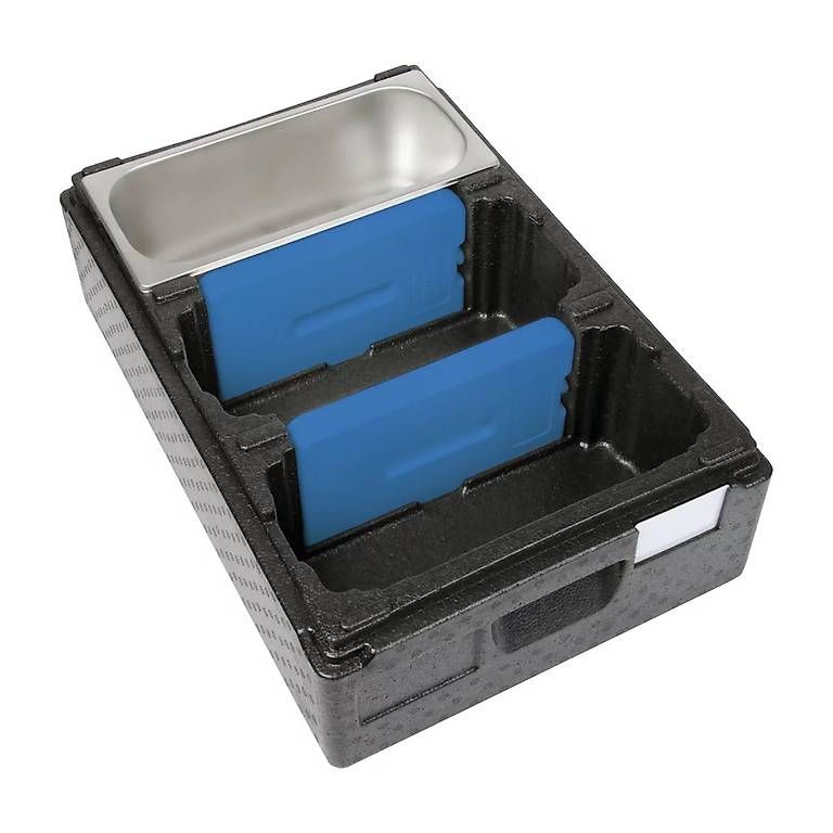 Frigoriferi & Refrigeratori: THERMOBOX ICE CREAM +3 – Usato da Davos Dorf venduto da fab_kt5r 1