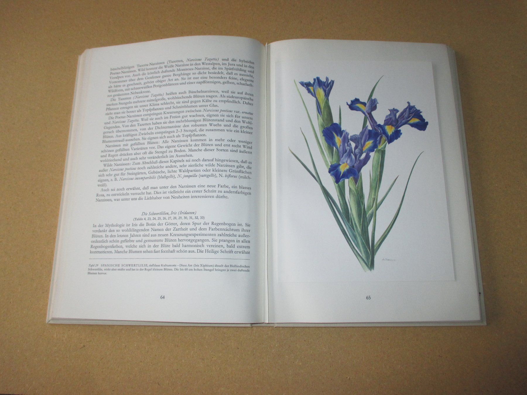 Libri: Wunderwelt der Gartenblumen, 2 Bände – Usato da Flims - Dorf venduto da Stagediver 2
