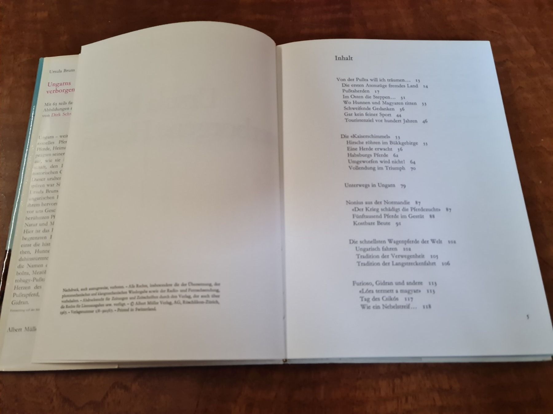 Libri: Ungarns verborgene Helden – Usato da Erstfeld venduto da Mario_boe0 1
