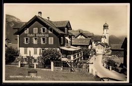 AK Seelisberg, Hotel Waldegg