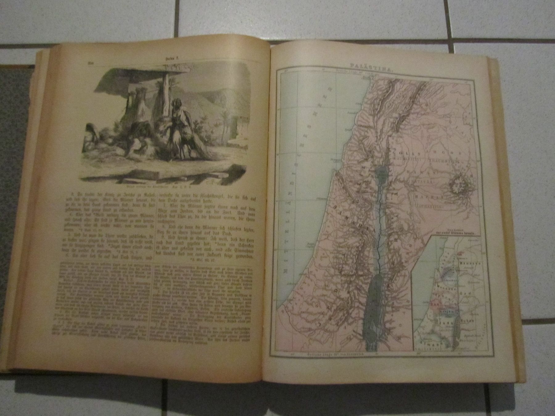 Libri: Illustrierte Familien Bibel – Usato da Weiningen ZH venduto da dietsch57 6