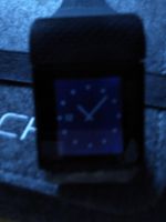 Garmin Surge