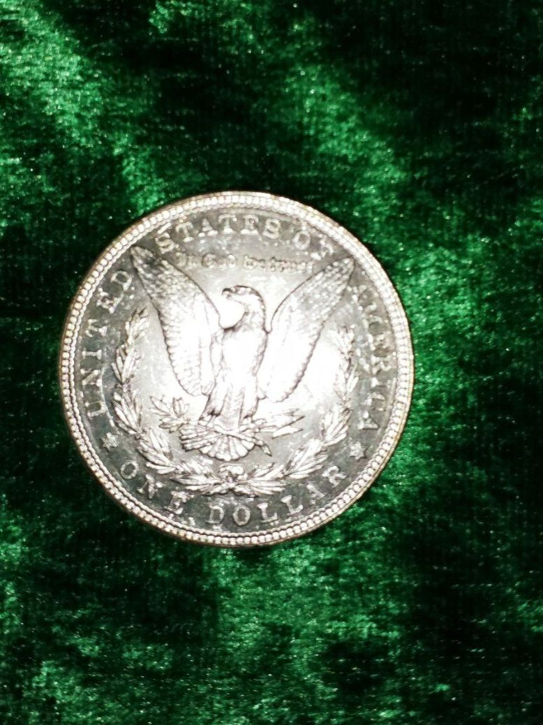 Alle Münzen: USA  🪙 1 MORGAN - 💲DOLLAR 💲 – Neu (gemäss Beschreibung) aus Gordola von ale_5wbc 9