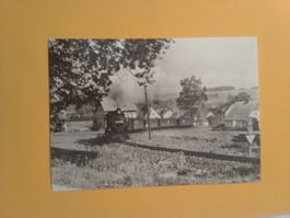 Schmalspurbahn Cranzahl-Oberwiesenthal bei Neudorf