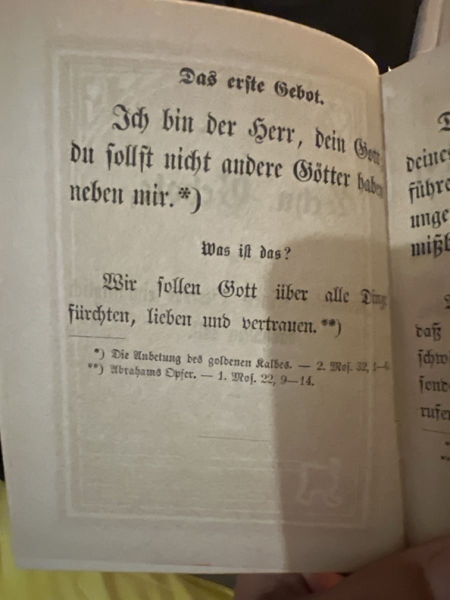 Libri: Luther Kleiner Katechismus 1873 mit 55 Bildern – Usato da Muralto venduto da dan_pf8r 8