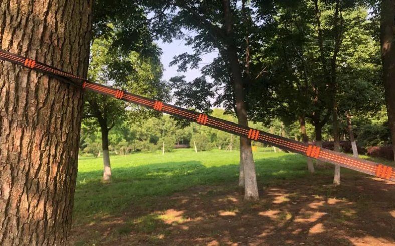 Hängematten: Outdoor Hängematte 260 x 140 cm – Neu und originalverpackt aus Châtelaine von topshop.switzerland 4