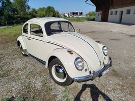 VW Käfer Export de Luxe