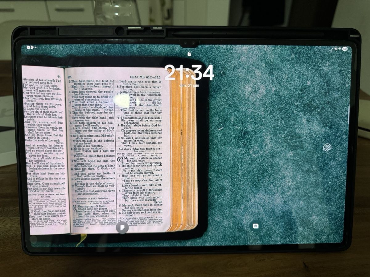 Samsung Tablet PC: Samsung Galaxy Tab S8 Ultra – Neu (gemäss Beschreibung) aus Bulle von rmv_qsw7
