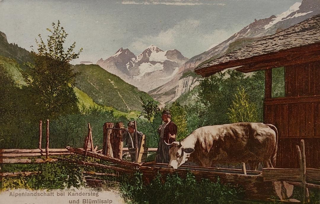 Cartoline postali: KANDERSTEG - Alpenlandschaft und Blümlisalp – Usato da Delémont venduto da Domdom1