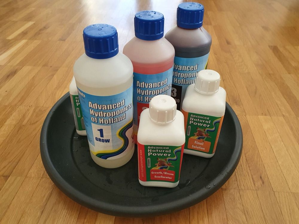 Tropengarten Dünger Set - 3 Profi Flüssigdünger Für Palmen, Strelizien & Bananenpflanzen