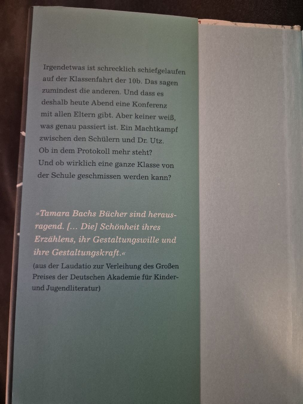 Bücher: Tamara Bach: Sankt Irgendwas - Jugendbuch – Neu (gemäss Beschreibung) aus Birmensdorf ZH von Veri16 5