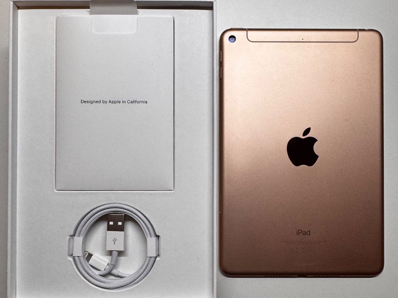 Apple Tablet PC: iPad Mini 5.Gen 256GB Wifi+Cellular Gold – Usato da Mosnang venduto da Dis7