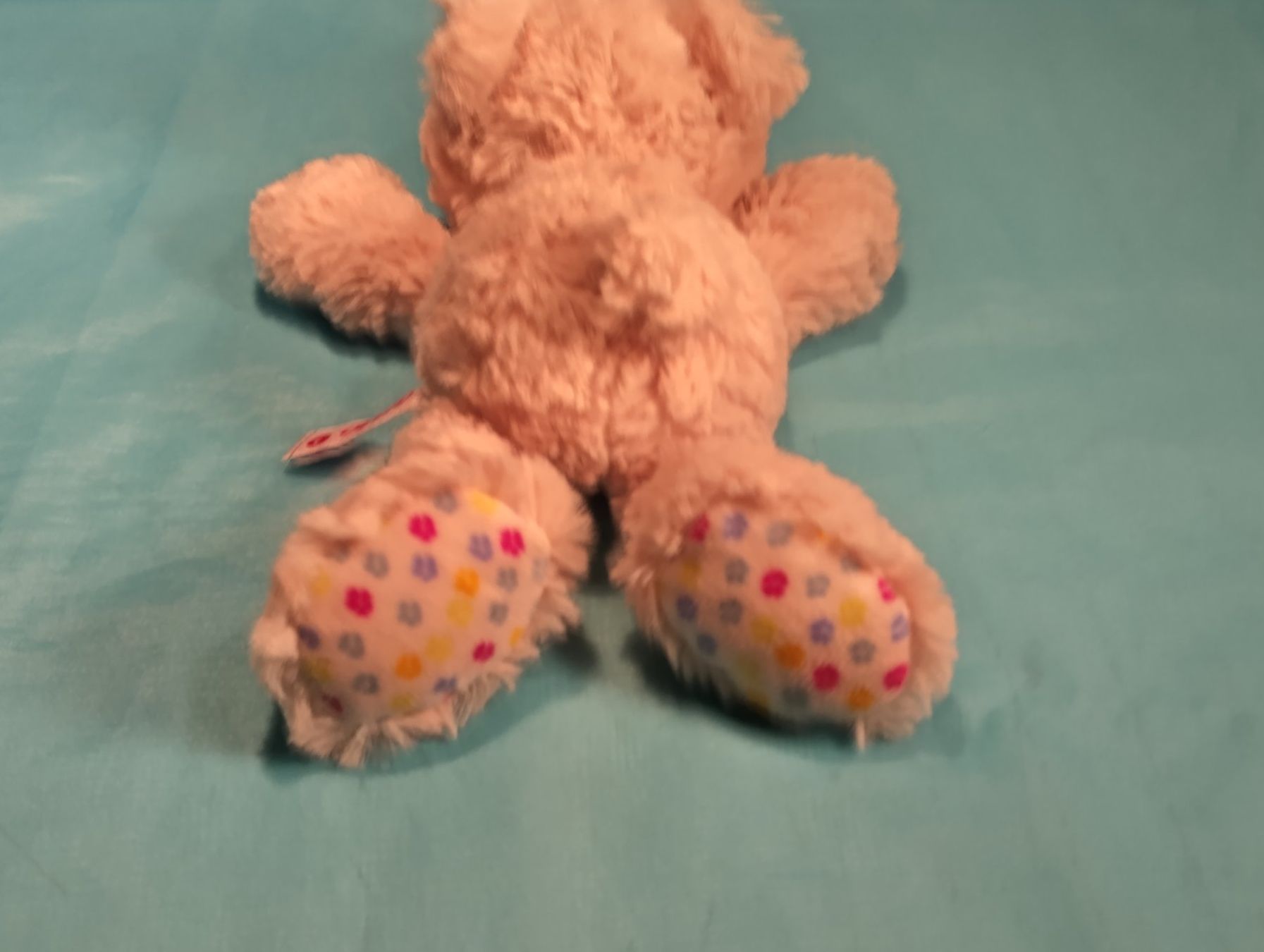 Nici Giocattoli: NICI Bär hellbeige, Länge ausgestreckt: 25cm – Usato da Bellach venduto da JingleCherry 3