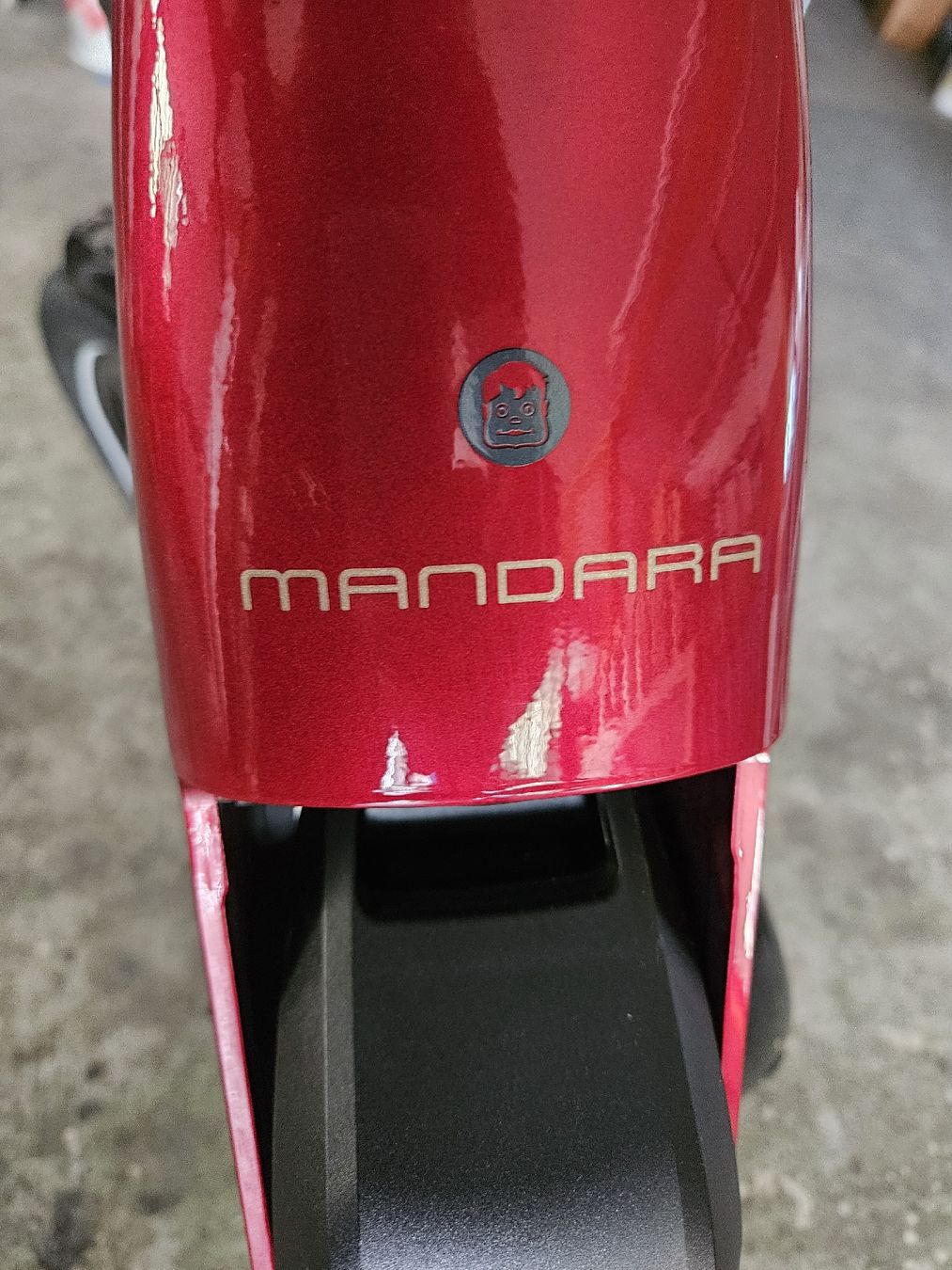Diamant Biciclette: Diamant Mandara E-Bike  25 Km/h – Usato da Rorschach venduto da TimelessTrading 9