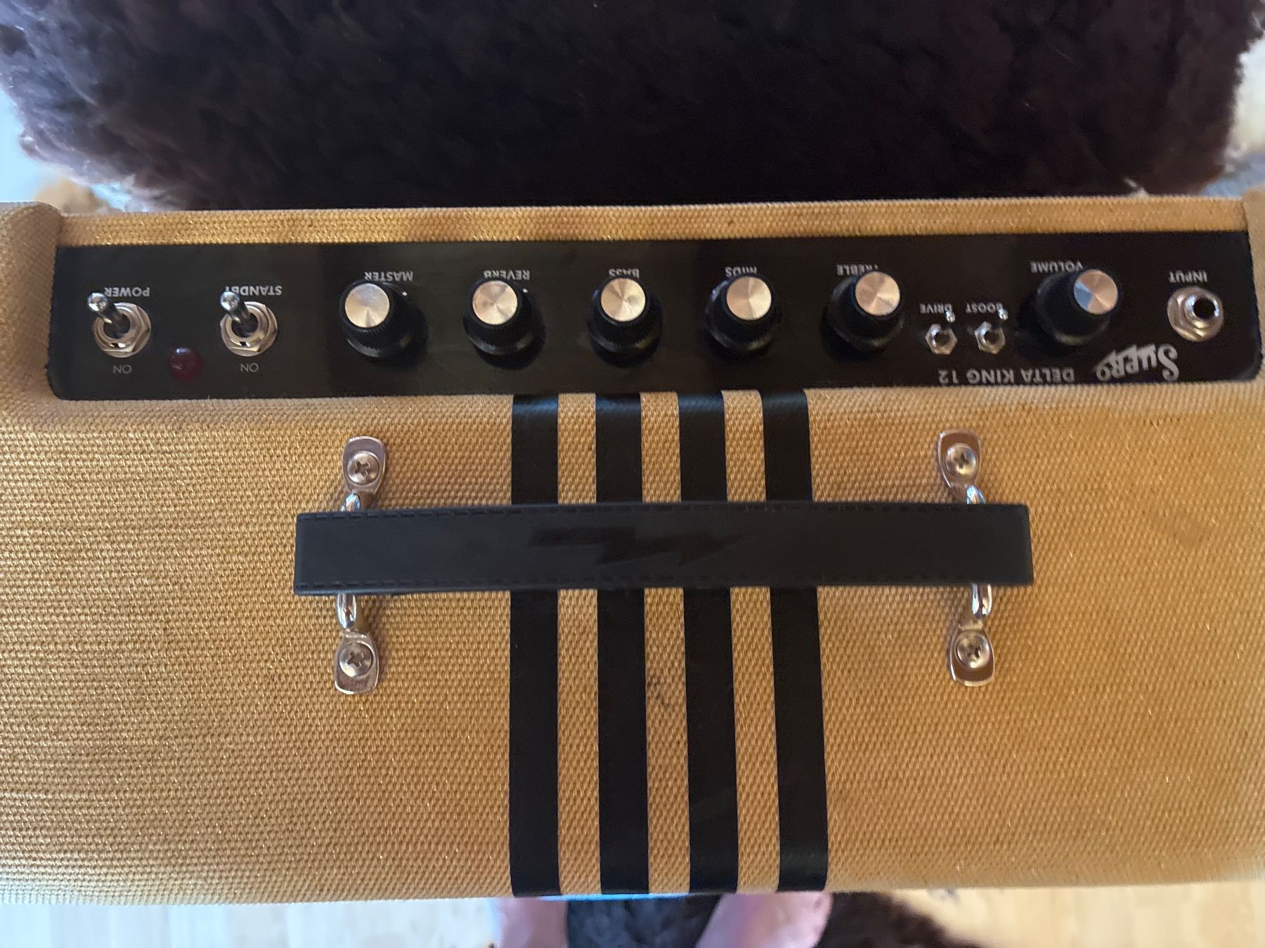 Amplificateurs: Ampli Supro Delta King 12 – D'occasion à Saules par bos_7w6r 1